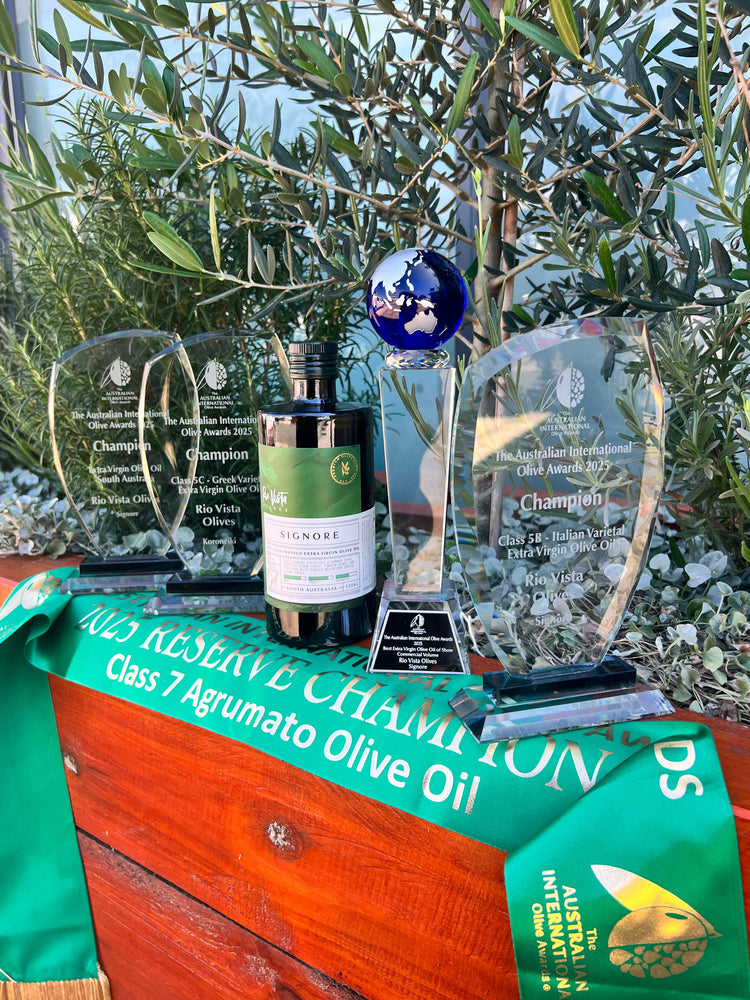 Rio Vista Olives crowned the Best at Australian International Olive Awards